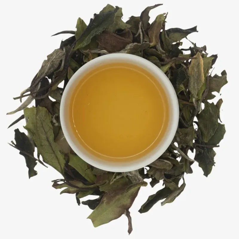 Fuding Bai Mu Dan Fuding Bai Mu Dan