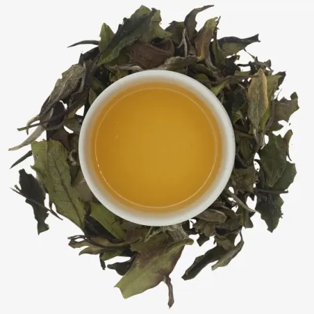 Fuding Bai Mu Dan