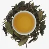 Fuding Bai Mu Dan