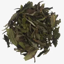 Fuding Bai Mu Dan