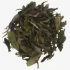 Fuding Bai Mu Dan
