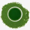 Matcha Saemidori KUN-SUI Imperial Ceremonial