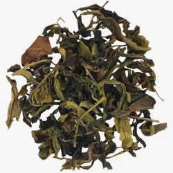 Jin Xuan Mingqian GABA Lu Cha