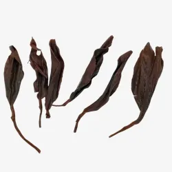 Shan Lin Xi Black Tea