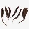 Shan Lin Xi Black Tea