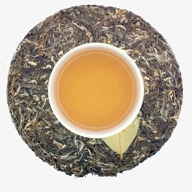 Fa Zhan He 2024 Spring Sheng Pu-Erh