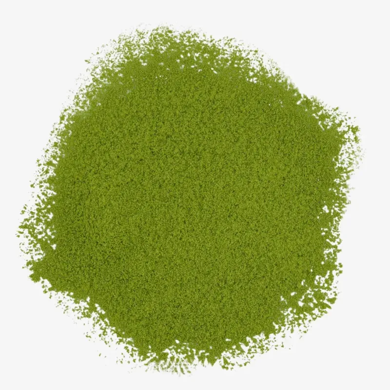 Nishio no Kaori Saemidori Premium Ceremonial Matcha