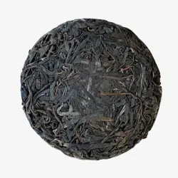 Nannuo Shan Wild Forest Shengpu 2021