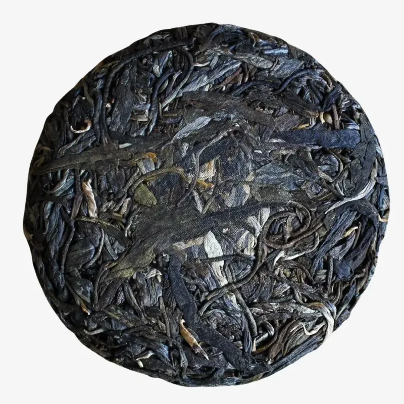 2020 Guangzizai Sheng Pu-erh Otoño