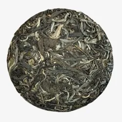 2025 Yiwu Ancient Trees of the Old Liu Family Sheng Puerh