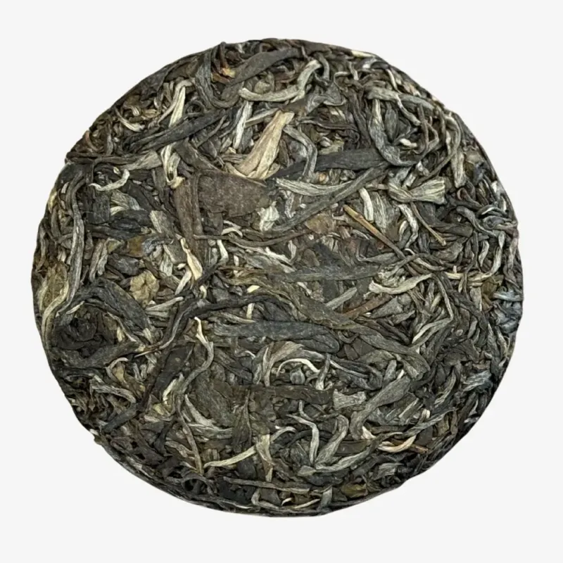 2025 Yiwu Ancient Trees of the Old Liu Family Sheng Puerh