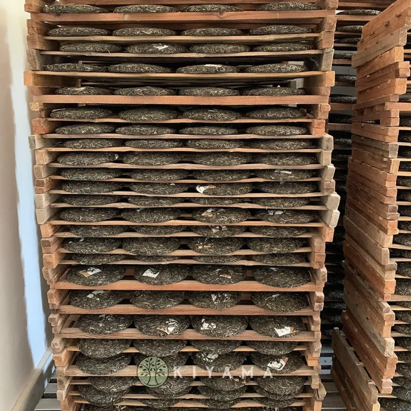 Xiaoyun Forest Sheng Puerh 2022