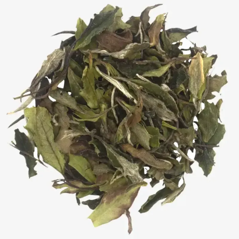 Fuding Bai Mu Dan