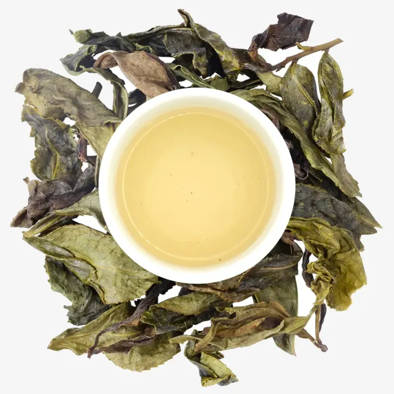 Jin Xuan Mingqian GABA Lu Cha-Té Verde-Kiyama Tea