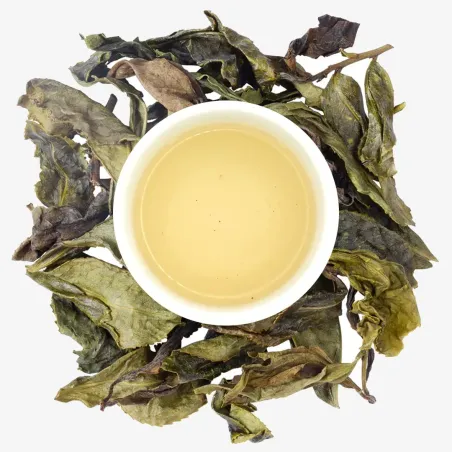 Jin Xuan Mingqian GABA Lu Cha