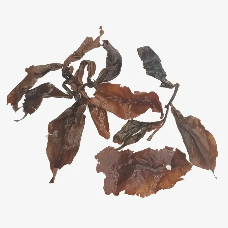Red Jade Gaba Hong Yu Wulong TTES 18