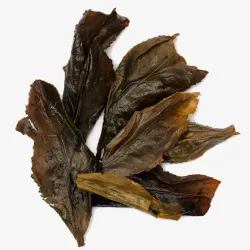 2022 Hunan Golden Flower Hei Cha - Tian Chi Hu Fu Zhuan