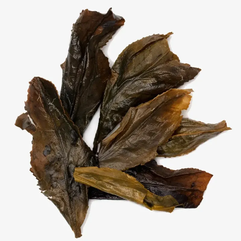 2022 Hunan Golden Flower Hei Cha - Tian Chi Hu Fu Zhuan