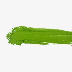 Kaguyahime Matcha 'Edición Limitada' Shogyokuen