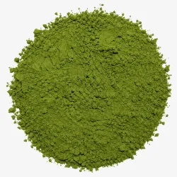 Saemidori Barista no Takumi Matcha