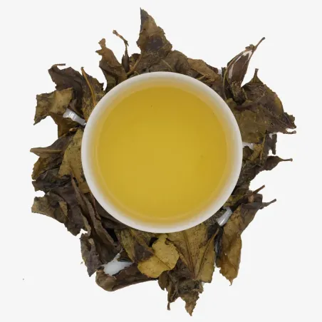 Awa Bancha Fermentado 'Kiyama'