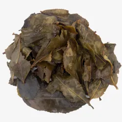 Awa Bancha Fermentado 'Kiyama'