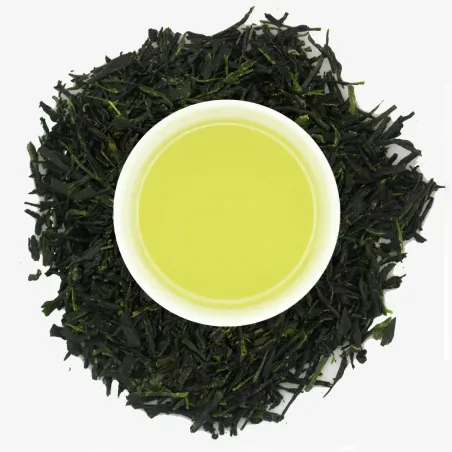 Gyokuro Saemidori natural de Kagoshima