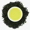 Gyokuro Saemidori natural de Kagoshima