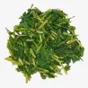 Té Verde Japonés de tallos con Sencha