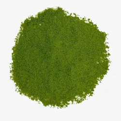 Matcha Wazuka no Asahi Ceremonial Natural