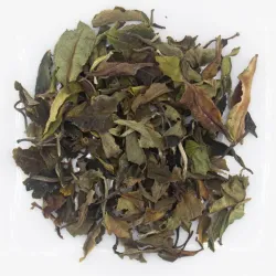 Dian Bai Mu Dan