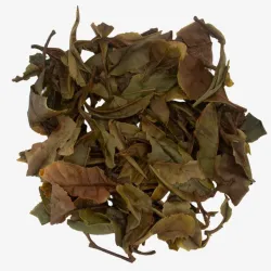 Dian Bai Mu Dan