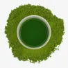Matcha Soushun no Kaori Ceremonial