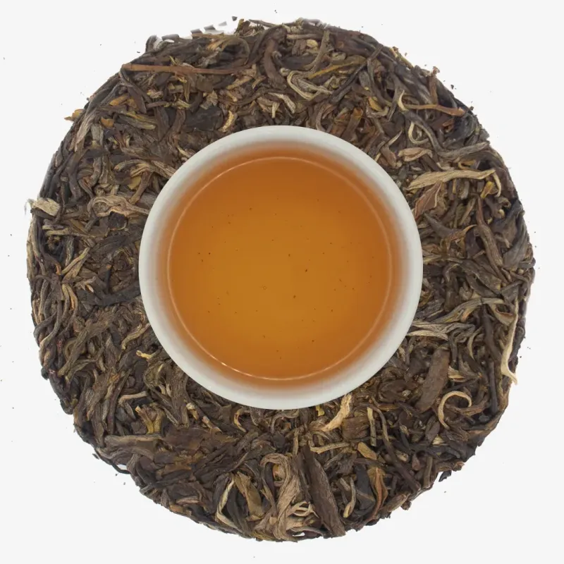 Yibang Orejas de Gato 2023 Sheng PuErh Crudo