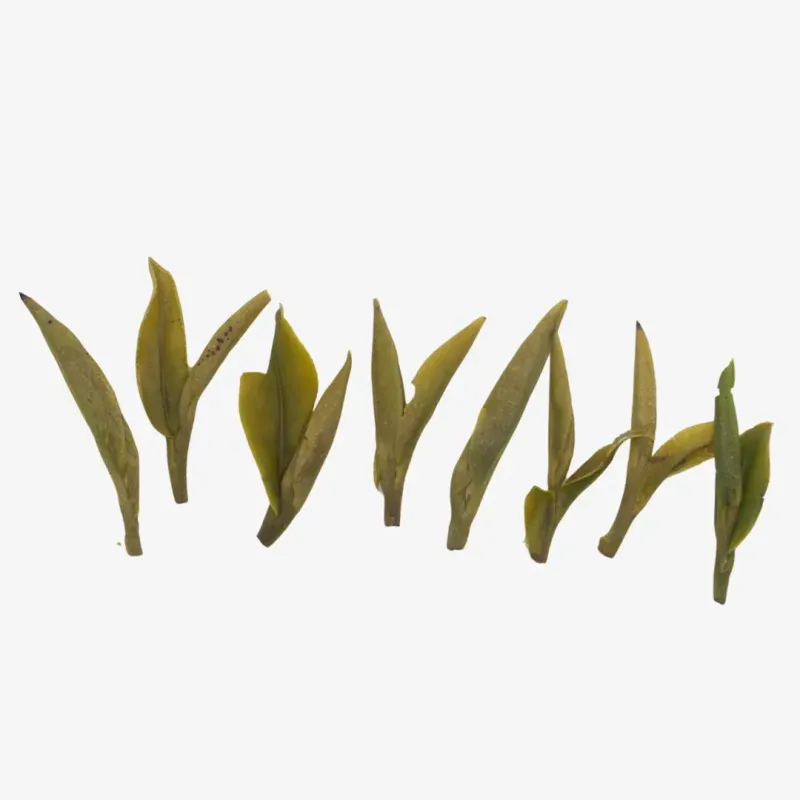 Tianmu Shan Mingqian Long Jing