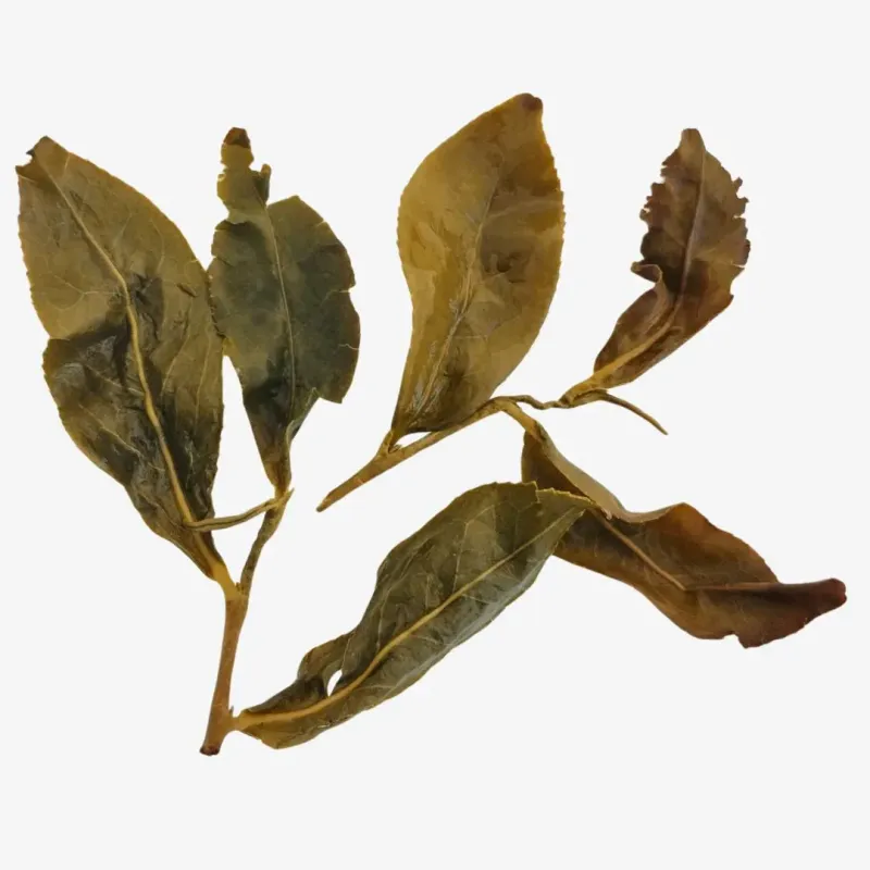 Cui Luan Lishan Oolong de alta montaña