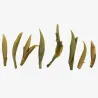 Fuding Bai Hao Yinzhen Signature