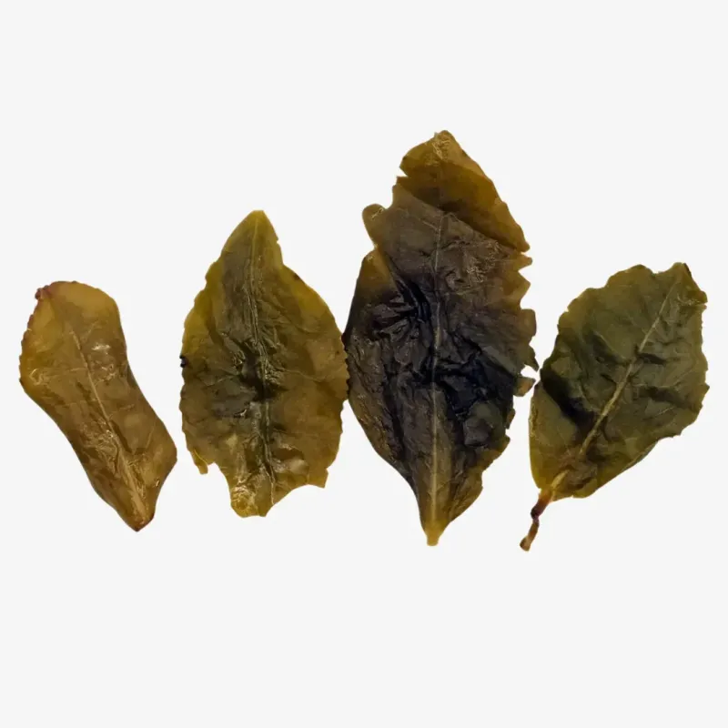 Jinguan Anxi Tie Guan Yin Signature