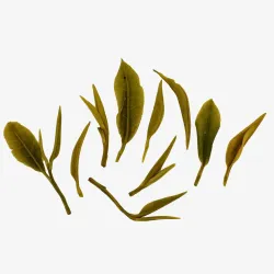 Dong Ting Xi Shan Bi Luo Chun Signature