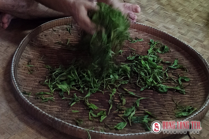Los cuatro tipos de té verde chino
