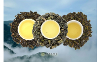 Té oolong de alta montaña de Taiwán: terroir, cultivares y diferencias