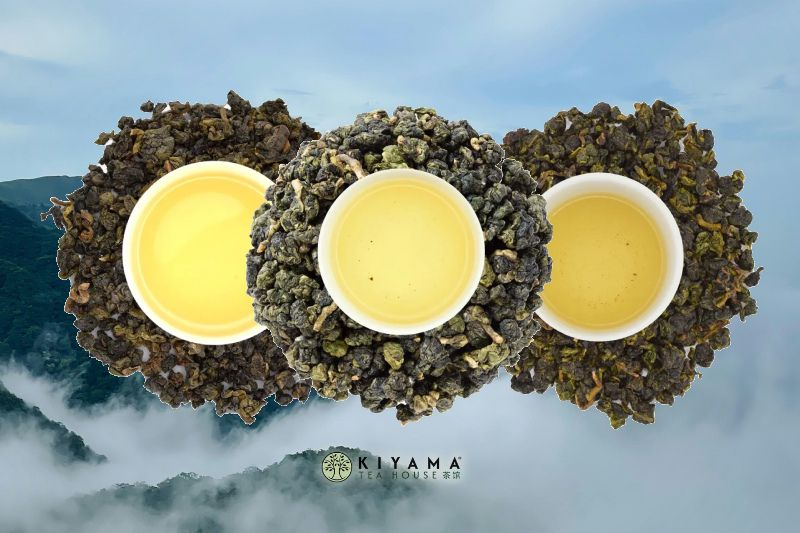 Té oolong de alta montaña de Taiwán: terroir, cultivares y diferencias