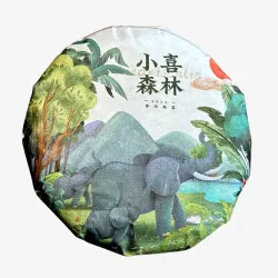 2024 Xiaoxi Forest Yunnan...